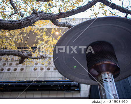 神宮外苑銀杏並木風景 84903449