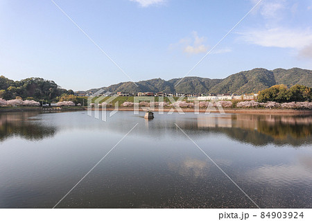 立岡自然公園 立岡自然公園 84903924