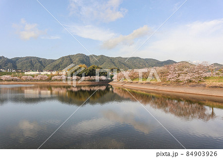 立岡自然公園 立岡自然公園 84903926
