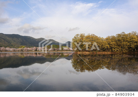 立岡自然公園 立岡自然公園 84903934