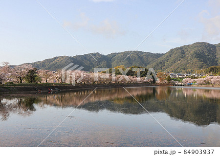 立岡自然公園 立岡自然公園 84903937