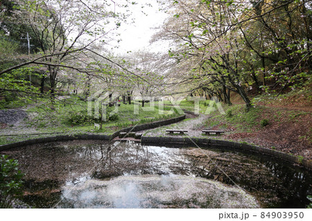 立岡自然公園 84903950