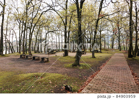 立岡自然公園 84903959