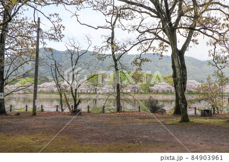立岡自然公園 84903961
