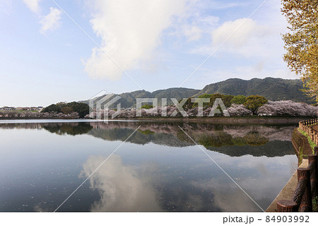 立岡自然公園 立岡自然公園 84903992