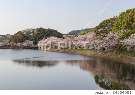 立岡自然公園 84904001