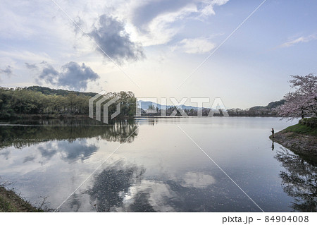 立岡自然公園 立岡自然公園 84904008