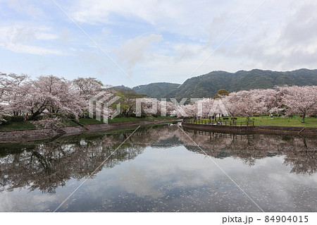 立岡自然公園 立岡自然公園 84904015