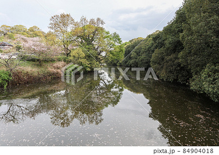 立岡自然公園 立岡自然公園 84904018