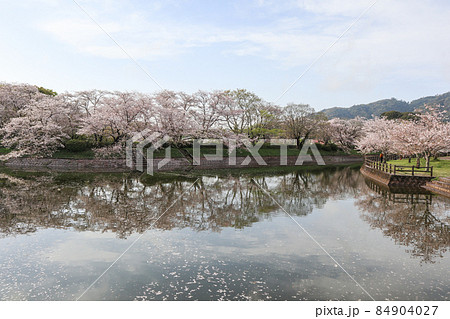 立岡自然公園 立岡自然公園 84904027