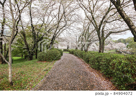 立岡自然公園 立岡自然公園 84904072
