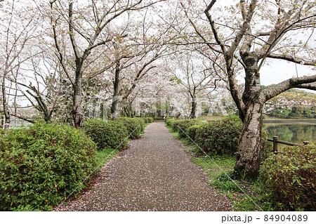 立岡自然公園 立岡自然公園 84904089