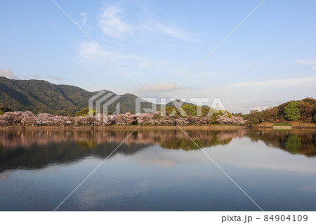 立岡自然公園 立岡自然公園 84904109