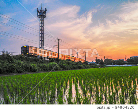 夕暮れ時　電車と田園に映る美しいリフレクション 84904520