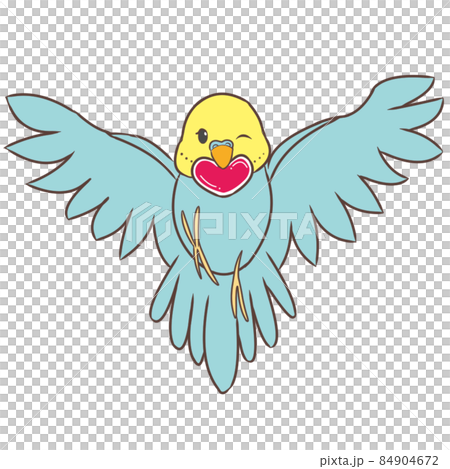 Parakeet with a heart Parakeet with a heart 84904672