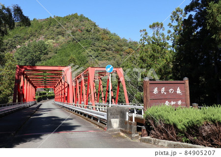愛知県民の森 84905207