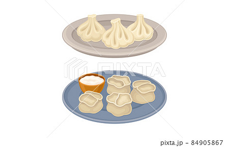 Set of dumplings on plates. Khinkali and manti, dough stuffed with meat or vegetables vector illustration 84905867