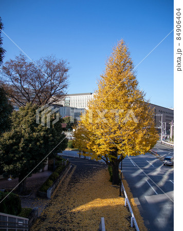 信濃町駅前風景 84906404