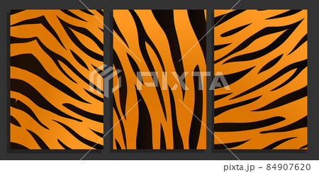 Tiger skin texture background set. Tigers black and orange stripes fur background 84907620
