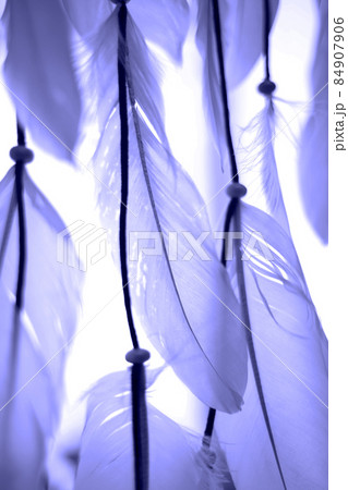 the color of 2022. bird feathers are a great background for design the color of 2022. bird feathers are a great background for design 84907906