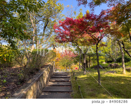 秋の高松市立中央公園 84908286