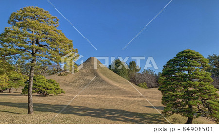 Beautiful view of a typical Japanese garden 84908501