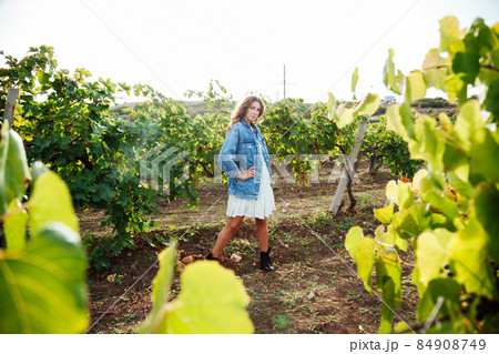 beautiful blonde woman picks grapes harvesting nice beautiful blonde woman picks grapes harvesting nice 84908749