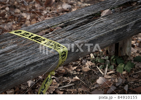 朽ちた木製ベンチ 朽ちた木製ベンチ 84910155