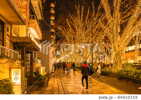 《東京都》表参道・冬のイルミネーション 《東京都》表参道・冬のイルミネーション 84910359
