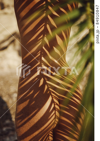 Close-up Woman's Tanned Naked Buttocks Under the Palm Leaf Shade on the Deserted Beach Outdoors 84910847