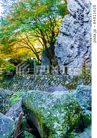 大雄寺の五百羅漢(富川渓谷)の紅葉 【長崎県諫早市】 大雄寺の五百羅漢(富川渓谷)の紅葉 【長崎県諫早市】 84911026