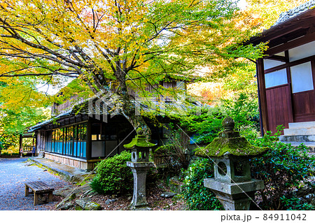 大雄寺の五百羅漢（富川渓谷）の紅葉　【長崎県諫早市】 84911042