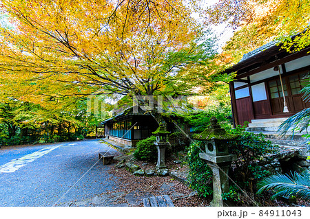 大雄寺の五百羅漢(富川渓谷)の紅葉 【長崎県諫早市】 大雄寺の五百羅漢(富川渓谷)の紅葉 【長崎県諫早市】 84911043