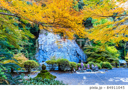 大雄寺の五百羅漢(富川渓谷)の紅葉 【長崎県諫早市】 大雄寺の五百羅漢(富川渓谷)の紅葉 【長崎県諫早市】 84911045