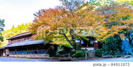 大雄寺の五百羅漢(富川渓谷)の紅葉 パノラマ 【長崎県諫早市】 大雄寺の五百羅漢(富川渓谷)の紅葉 パノラマ 【長崎県諫早市】 84911072