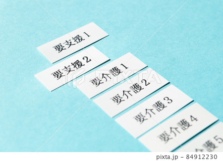 要支援2　介護保険制度 84912230