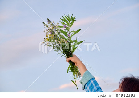 Woman's hand with bouquet of wildflowers, sky in clouds background 84912393