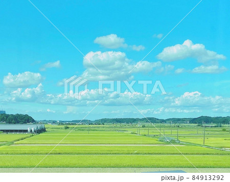 田舎の田んぼの風景 田舎の田んぼの風景 84913292
