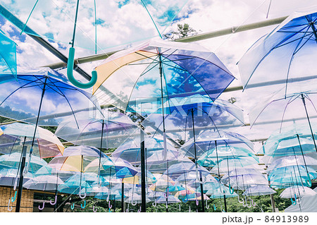 法多山のあじさい　 84913989