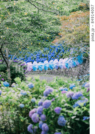 法多山のあじさい　 84914007