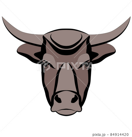 Bull head with horns close-up. Bull head with horns close-up. 84914420