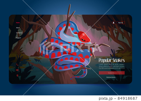 Snakes banner with California red-sided garter 84918687