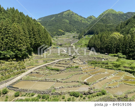 田植えの時期の千枚田(棚田) 84919106