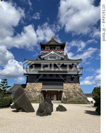 そびえ立つ清洲城 そびえ立つ清洲城 84919110