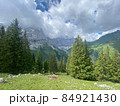 Engalm Valley at Karwendel mountains in Austria 84921430
