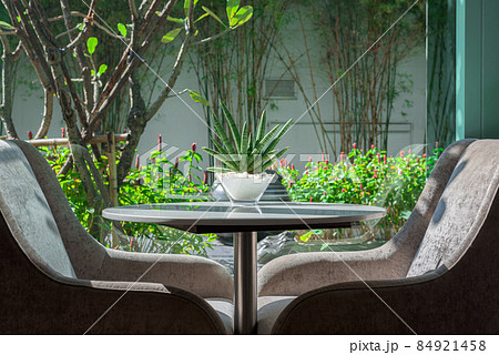 Cylindrical Snake Plant in a glass jar, placed on a table 84921458