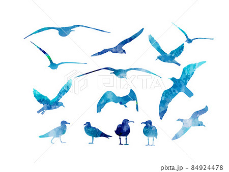 Set of blue watercolor sea gulls. Vector illustration Set of blue watercolor sea gulls. Vector illustration 84924478