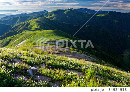 以東岳稜線の高山植物と朝日連峰主稜線を望む 以東岳稜線の高山植物と朝日連峰主稜線を望む 84924958