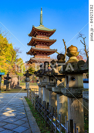 東京 台東区 上野公園にある寛永寺 五重塔 東京 台東区 上野公園にある寛永寺 五重塔 84925282