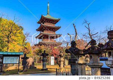 東京　台東区　上野公園にある寛永寺　五重塔 84925286